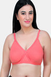 Maroon Clothing Double Layered Non Wired Full Coverage T-Shirt Bra (Pack of 2) - Multicolor — thumbnail 6